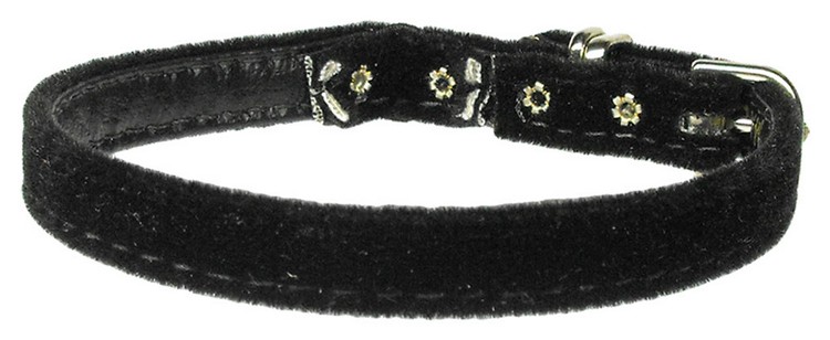 Velvet 3/8" Plain Cat Collar w/ Band Black 12